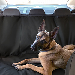 Seat protector covers with Malinois