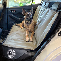 Seat protectors